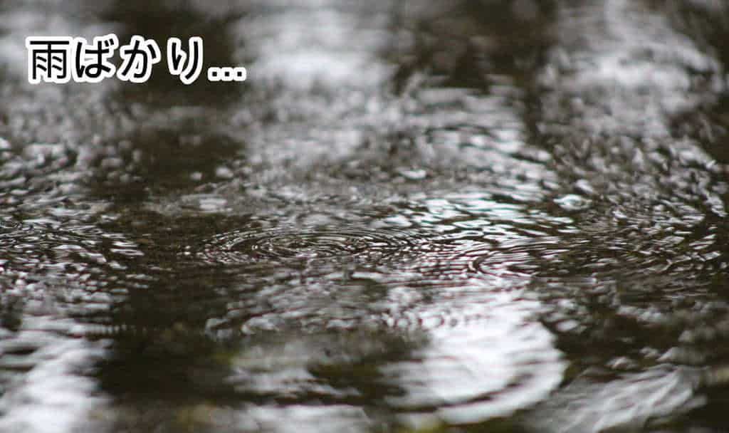 雨